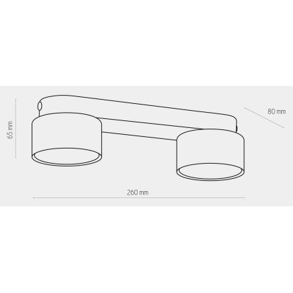 Spotlampe SPACE GOLD 2xGX53/15W/230V