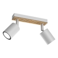 Spotlampe TERRA 2xGU10/8W/230V hvid/eg