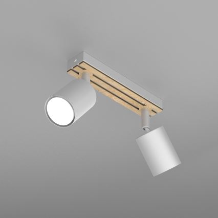 Spotlampe TERRA 2xGU10/8W/230V hvid/eg