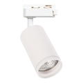 Spotlampe til 1-faset skinnesystem PIPE 1xGU10/10W/230V hvid