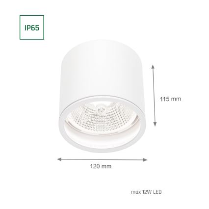 Spotlampe til badeværelse CHLOE AR111 1xGU10/12W/230V IP65 rund hvid