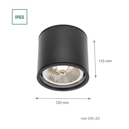 Spotlampe til badeværelse CHLOE AR111 1xGU10/12W/230V IP65 rund sort