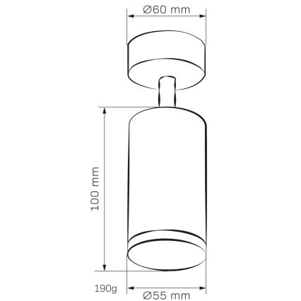 Spotlampe til badeværelse TURYN 1xGU10/10W/230V IP44 hvid