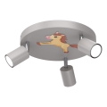 Spotlampe til børn FUN 3xGU10/8W/230V grå/koník