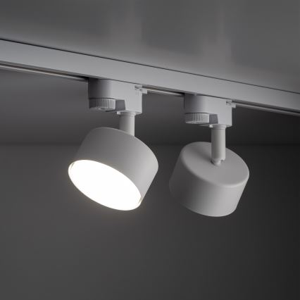 Spotlampe til 1-faset skinnesystem AVIA 1xGX53/15W/230V hvid