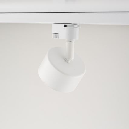 Spotlampe til 1-faset skinnesystem AVIA 1xGX53/15W/230V hvid
