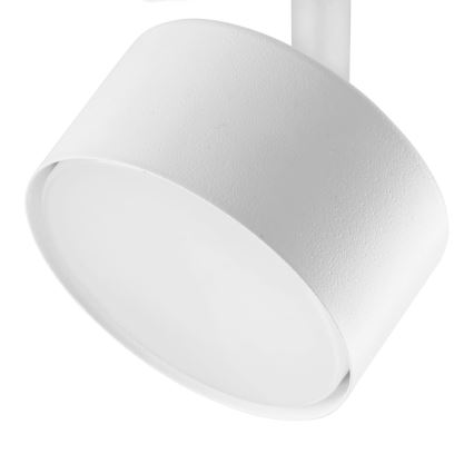 Spotlampe til 1-faset skinnesystem AVIA 1xGX53/15W/230V hvid