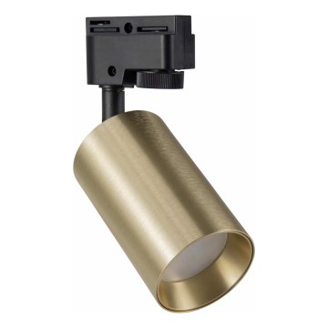 Spotlampe til skinnesystem MARIBEL 1xGU10/10W/230V guldfarvet