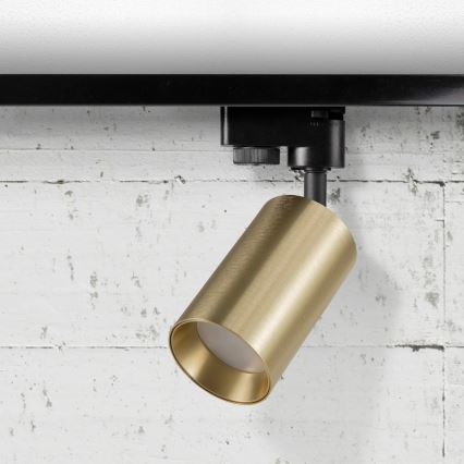 Spotlampe til skinnesystem MARIBEL 1xGU10/10W/230V guldfarvet
