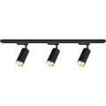 Spotlampe til skinnesystem MICA 3xGU10/10W/230V sort/guld