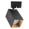 Spotlampe til skinnesystem SQUARE 1xGU10/10W/230V sort