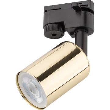 Spotlampe til skinnesystem TOP 1xGU10/10W/230V guldfarvet/sort