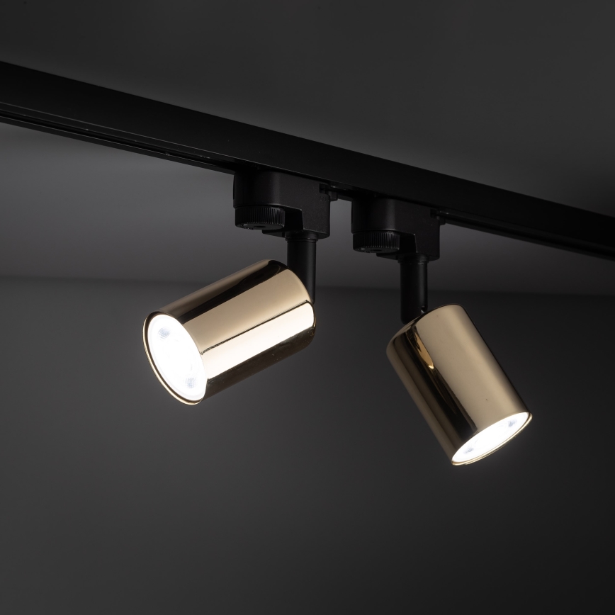 Spotlampe til skinnesystem TOP 1xGU10/10W/230V guldfarvet/sort
