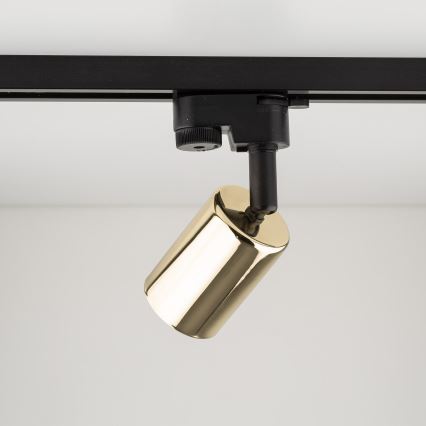 Spotlampe til skinnesystem TOP 1xGU10/10W/230V guldfarvet/sort