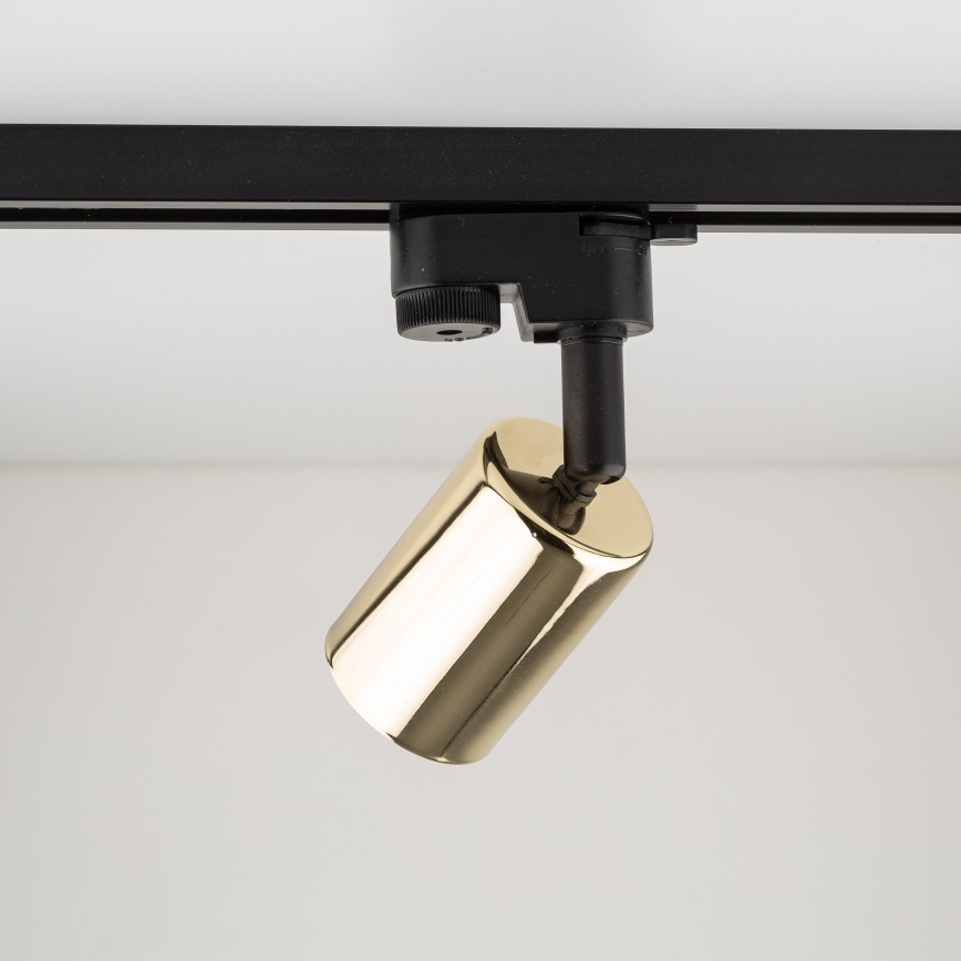 Spotlampe til skinnesystem TOP 1xGU10/10W/230V guldfarvet/sort