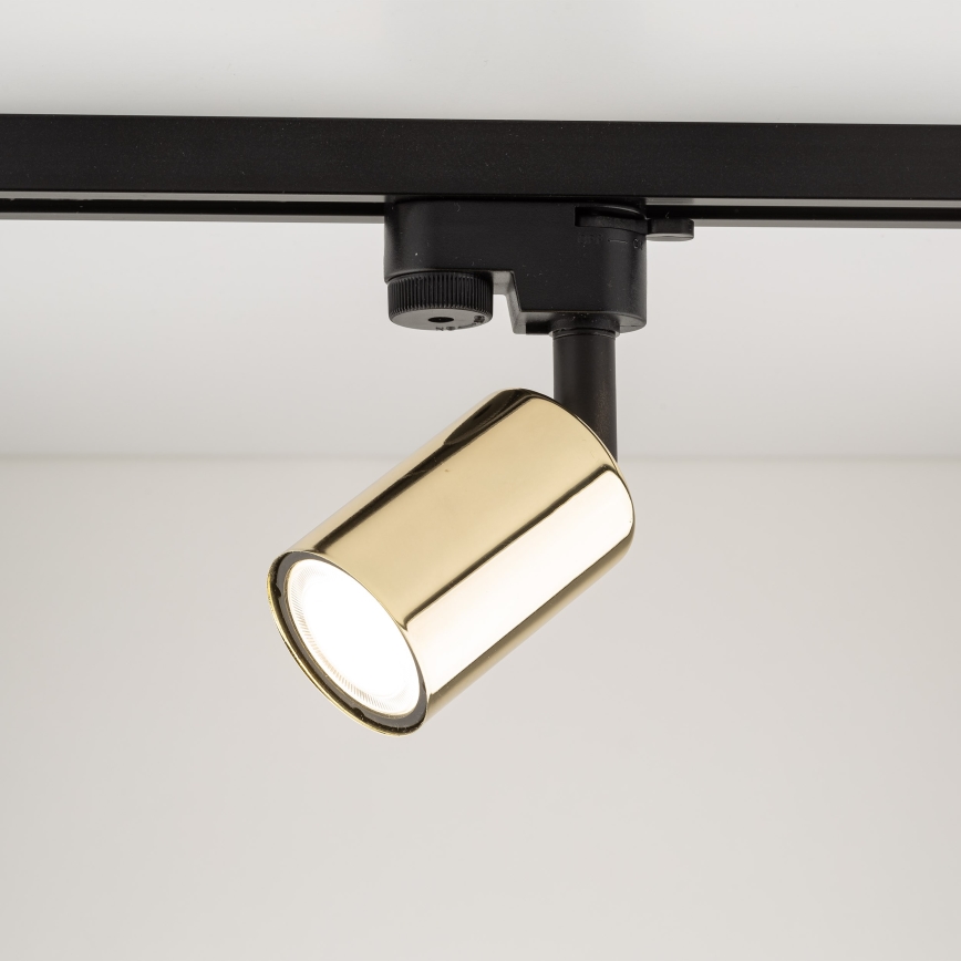 Spotlampe til skinnesystem TOP 1xGU10/10W/230V guldfarvet/sort