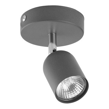 Spotlampe TOP 1xGU10/10W/230V grå