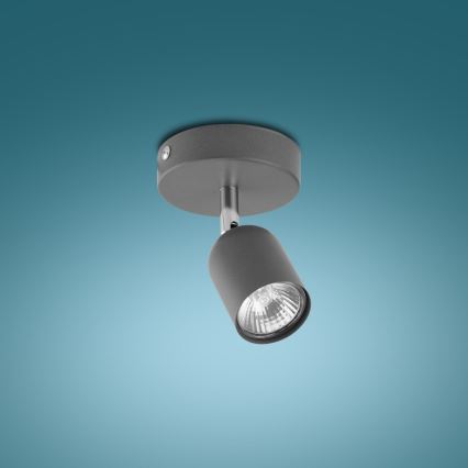 Spotlampe TOP 1xGU10/10W/230V grå