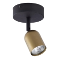 Spotlampe TOP 1xGU10/10W/230V guld/sort