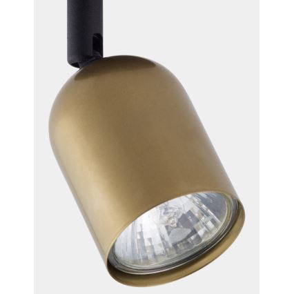 Spotlampe TOP 1xGU10/10W/230V guld/sort