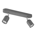 Spotlampe TOP 2xGU10/10W/230V grå