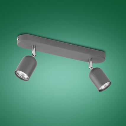 Spotlampe TOP 2xGU10/10W/230V grå