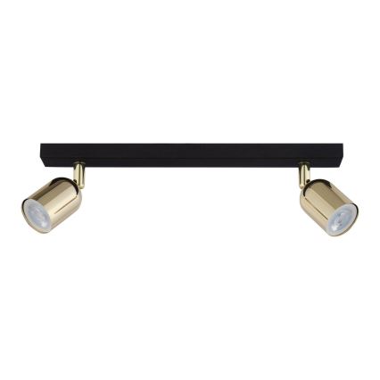 Spotlampe TOP 2xGU10/10W/230V sort/guldfarvet
