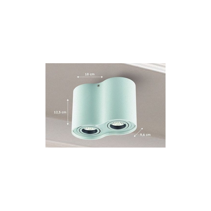 Spotlampe TUBA 1xGU10/50W/230V hvid