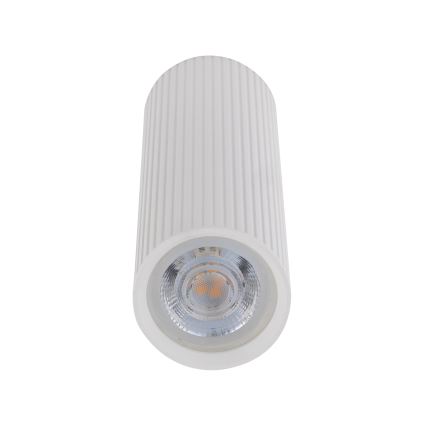 Spotlampe TUNE M 1xGU10/10W/230V 17 cm hvid