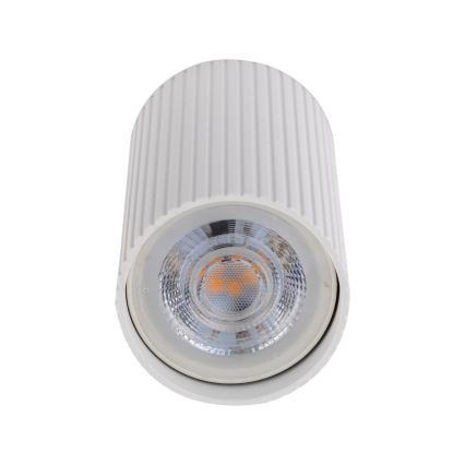 Spotlampe TUNE S 1xGU10/10W/230V 10 cm hvid