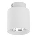 Spotlampe VICO WHITE 1xGU10/10W/230V