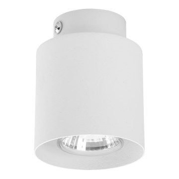 Spotlampe VICO WHITE 1xGU10/10W/230V