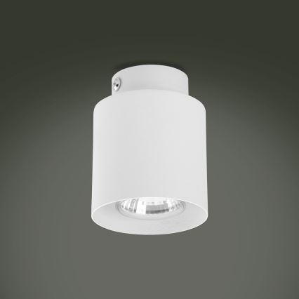 Spotlampe VICO WHITE 1xGU10/10W/230V