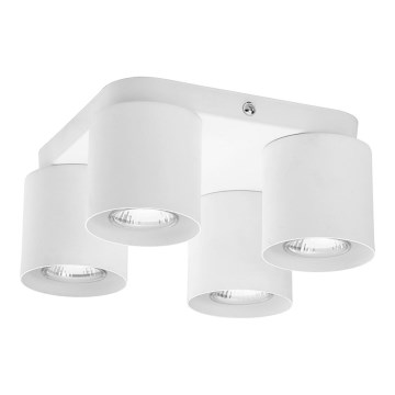 Spotlampe VICO WHITE 4xGU10/10W/230V