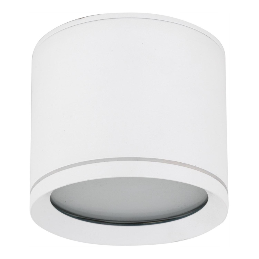 Spotlampe VIVO 1xGX53/10W/230V 10 cm hvid