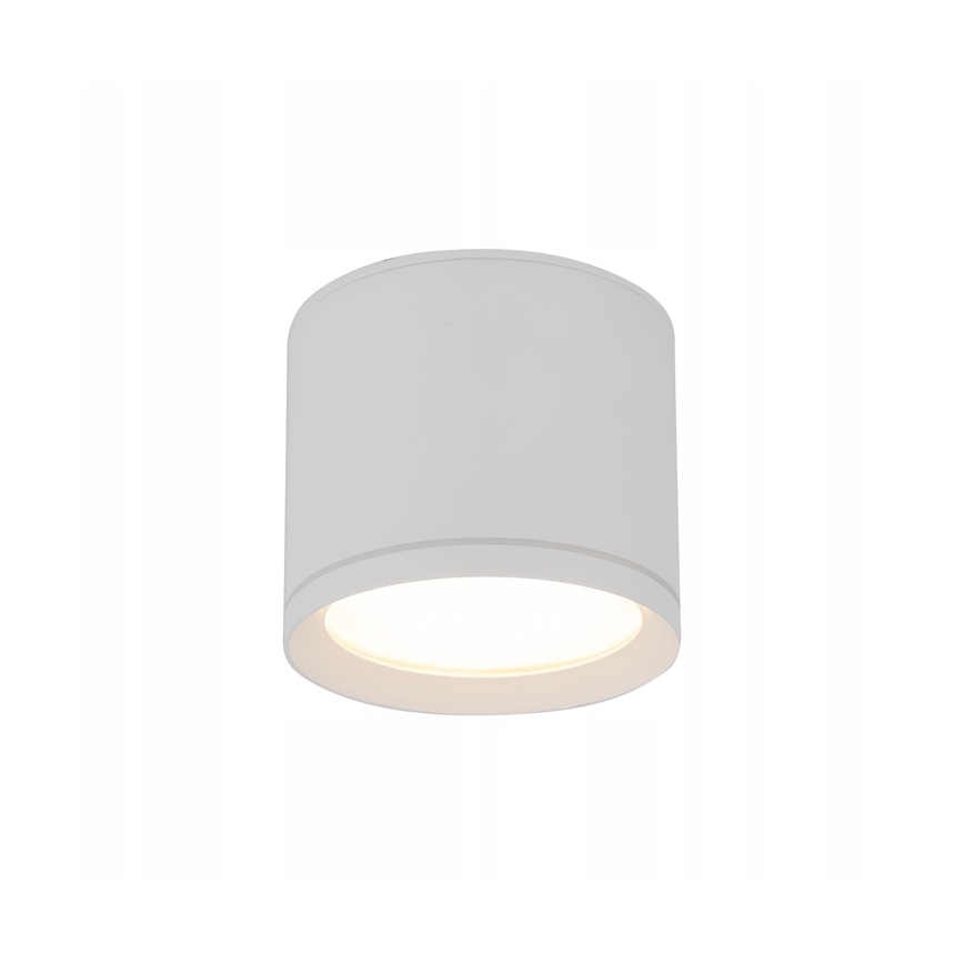 Spotlampe VIVO 1xGX53/10W/230V 10 cm hvid