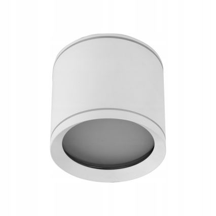 Spotlampe VIVO 1xGX53/10W/230V 10 cm hvid