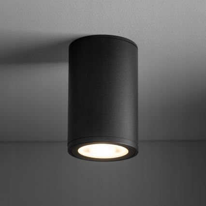 Spotlampe VIVO 1xGX53/10W/230V 10 cm sort