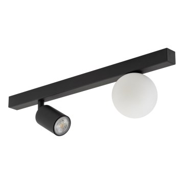 Spotlampe VOX 1xG9/8W/230V + 1xGU10/10W sort