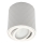 Spotlampe ZOLA 1xGU10/30W/230V hvid