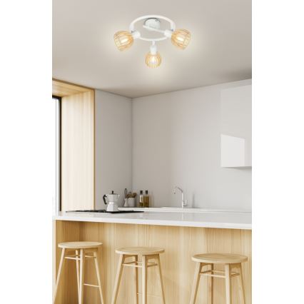 Spotlys ATARRI 3xE14/25W/230V