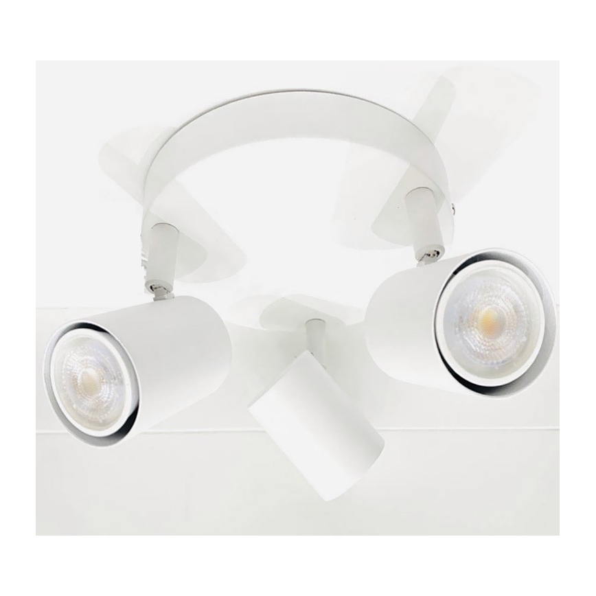 Spotlys FARGO 3xGU10/30W/230V hvid