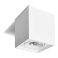 Spotlys QUANDO G53/50W/230V