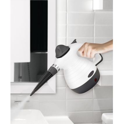 Steam cleaner 350 ml 900W/230V