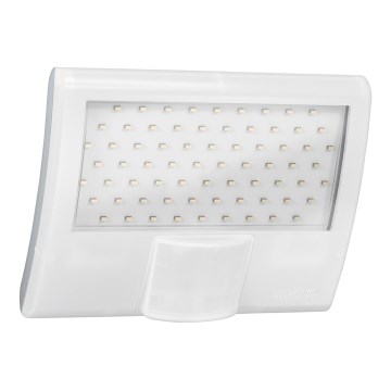 Steinel 012083 - Udendørs væglampe med sensor XLED curved LED/10,5W/230V IP44