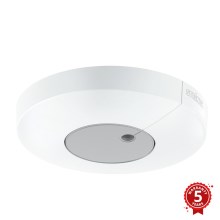 STEINEL 033651 - Skumringssensor Light Sensor Dual KNX hvid