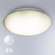 Steinel 035433 - Udendørs LED lampe med sensor QUATTRO LED/14W/230V IP54