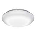Steinel 035440 - Udendørs LED lampe med sensor QUATTRO LED/10W/230V IP54