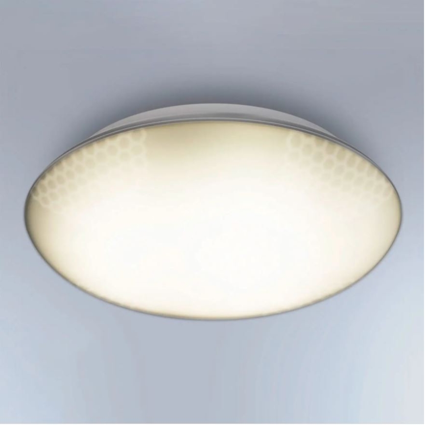 Steinel 035440 - Udendørs LED lampe med sensor QUATTRO LED/10W/230V IP54