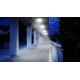 Steinel 035440 - Udendørs LED lampe med sensor QUATTRO LED/10W/230V IP54